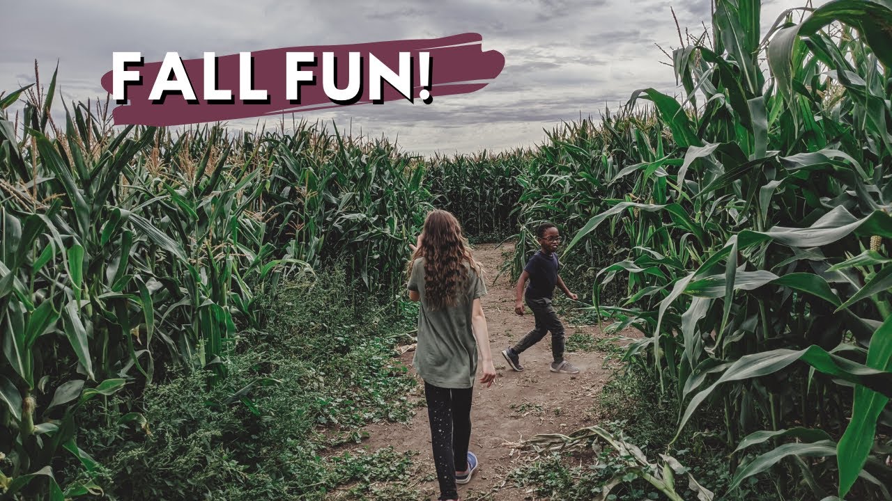 FALL FAMILY BUCKET LIST: 🍁 fun family things to do in the autumn to celebrate the season 🍁