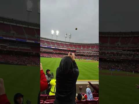 I came SO CLOSE to this Matt McLain HOME RUN #mlb #baseball #reds