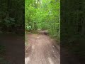 &quot;Вдруг на бегу остановиться&quot; #shorts #вайтонминск #вайтонпамятник #вайтон