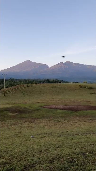 Suara burung dari Rinjani