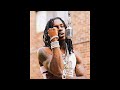 [FREE] Polo G Type Beat 'Last Words'