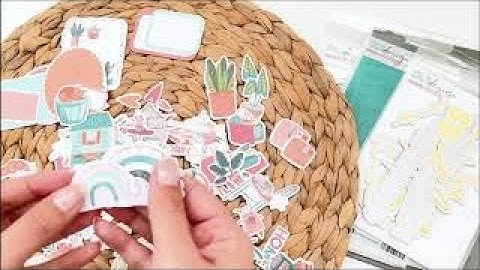 DLS Design | Amazing Collection | Unboxing