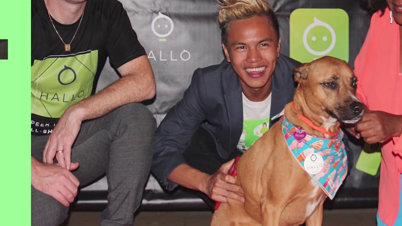 The HALLO Startup Story –Puerto Rico