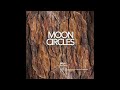 Ben A  - What I  Like - Mooncircles Records