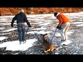 Deer gets rescued from frozen lake - Bambi on Ice