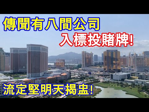 傳聞有八間公司入標投賭牌 ! 流定堅明天揭盅 !