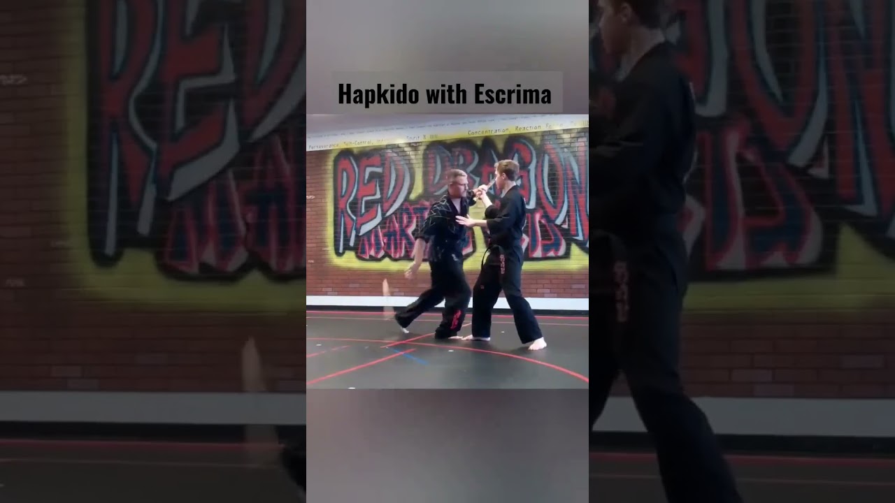 Hapkido with Escrima or Expandable Baton. 