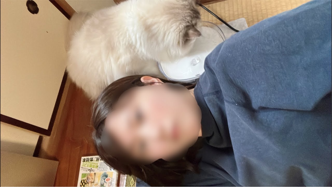 残業終わりのライブ配信【酒村いっも、】