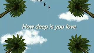 Calvin Harris & Disciples - how deep is your love lyrics (مترجمة)
