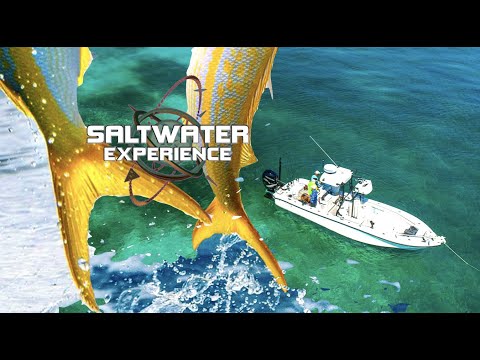 BEST SNAPPER Fishing In 30 YEARS | Yellowtail After Hurricane Irma | Saltwater Experience