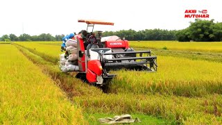 MT1 2022 - KUBOTA DC93 BEKERJA CEPAT SAMPAI HELPERNYA KEWALAHAN