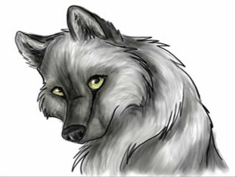 wolf animation part 2 - YouTube