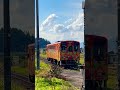 Flower 電車