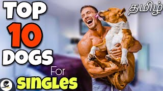 Top 10 dogs for singles | இனி தனிமையே வேண்டாம் | canine empire