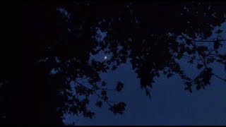 i was happy // coldcore playlist