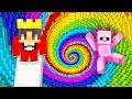 NOOB vs PRO: EXTREME RAINBOW DROPPER Challenge In Minecraft!