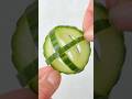 Cucumber Cages
