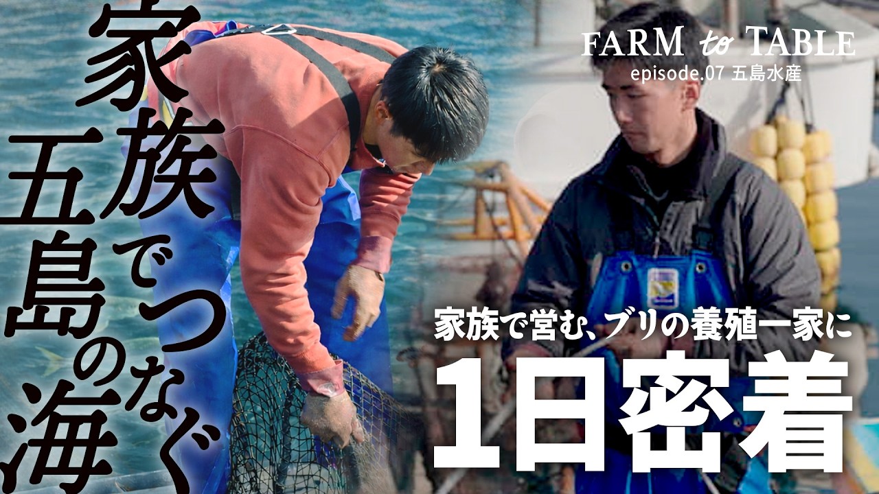 【密着】1年50万尾を出荷！？誰も知らない家族と魚の物語！五島列島の歴史ある養殖漁業ファミリーの1日とは？