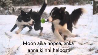 Vanttu 10Kk