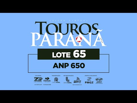 LOTE 65 ANP 650