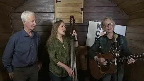 Louisa Branscomb - Blackbird In The Rain (original)