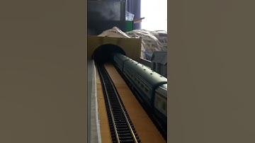 Lima Class 33 #viral #railway #modeltrains #train #britishrail #oogauge #diesel #shorts #trainvideo