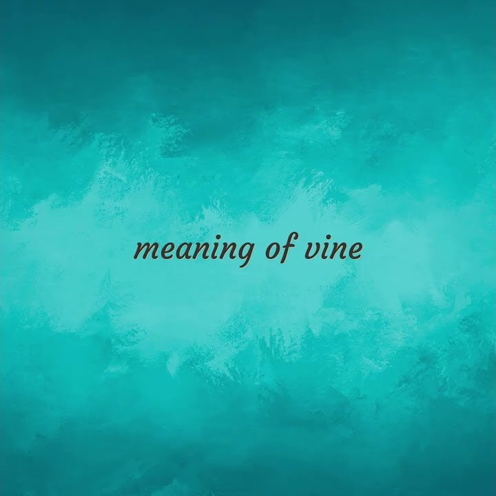 Vine Meaning Of Vine YouTube vine-meaning-of-vine-youtube