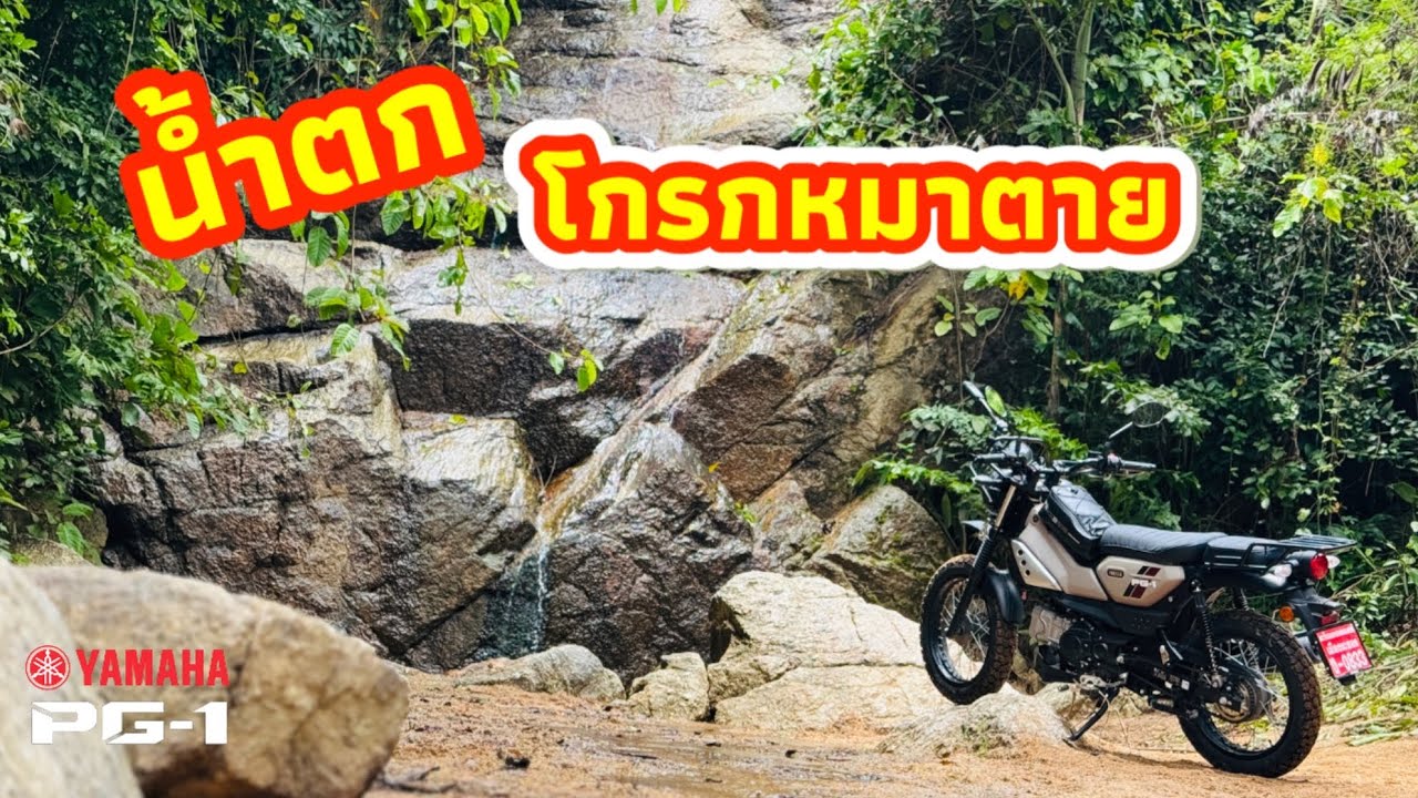 น้ำตกโกรกหมาตาย YAMAHA PG1 2025