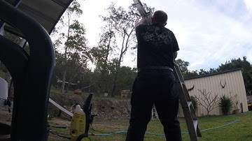 carpet python in coomera