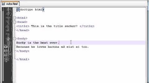 CSS and XHTML -- Paragraphs and Line Breaks Tutoiral 4.flv