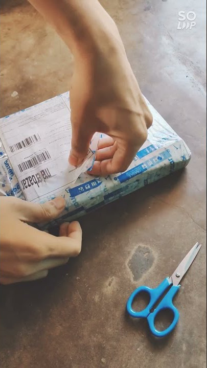 Preview unboxing D.Light Solar Panel  #d.light #solarpanel #preview #bongtechnature