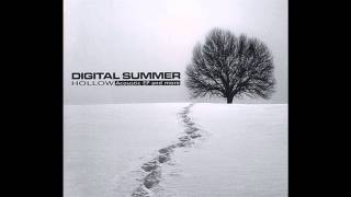 Digital Summer / Worth the Pain chords