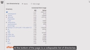 How to use the Disk Space Usage tool in cPanel