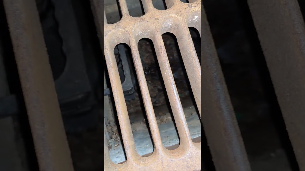 Trash Panda Hiding in Storm Drain