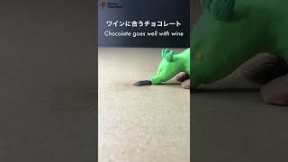 クバのマリアージュチョコレート Mariage chocolate chosen by Dream emitter