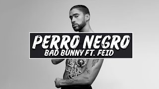 Bad Bunny Ft. Feid - Perro Negro (Letras/Lyrics)