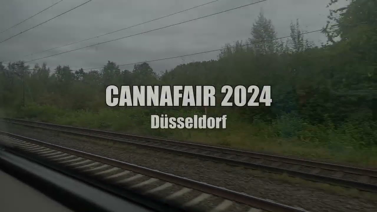 Cannafair 2024 in Düsseldorf | Cannabis Messe 23.08.2024