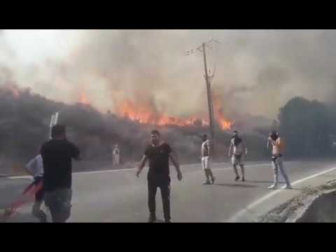 Ρέθυμνο: Πυρκαγιά στον Μασταμπά (3)