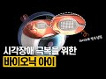 [핫클립] 감각장애 극복을 위한 기술 / YTN 사이언스