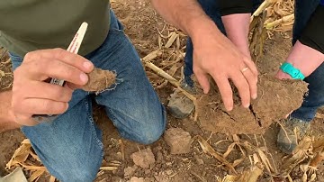 Addressing Compaction