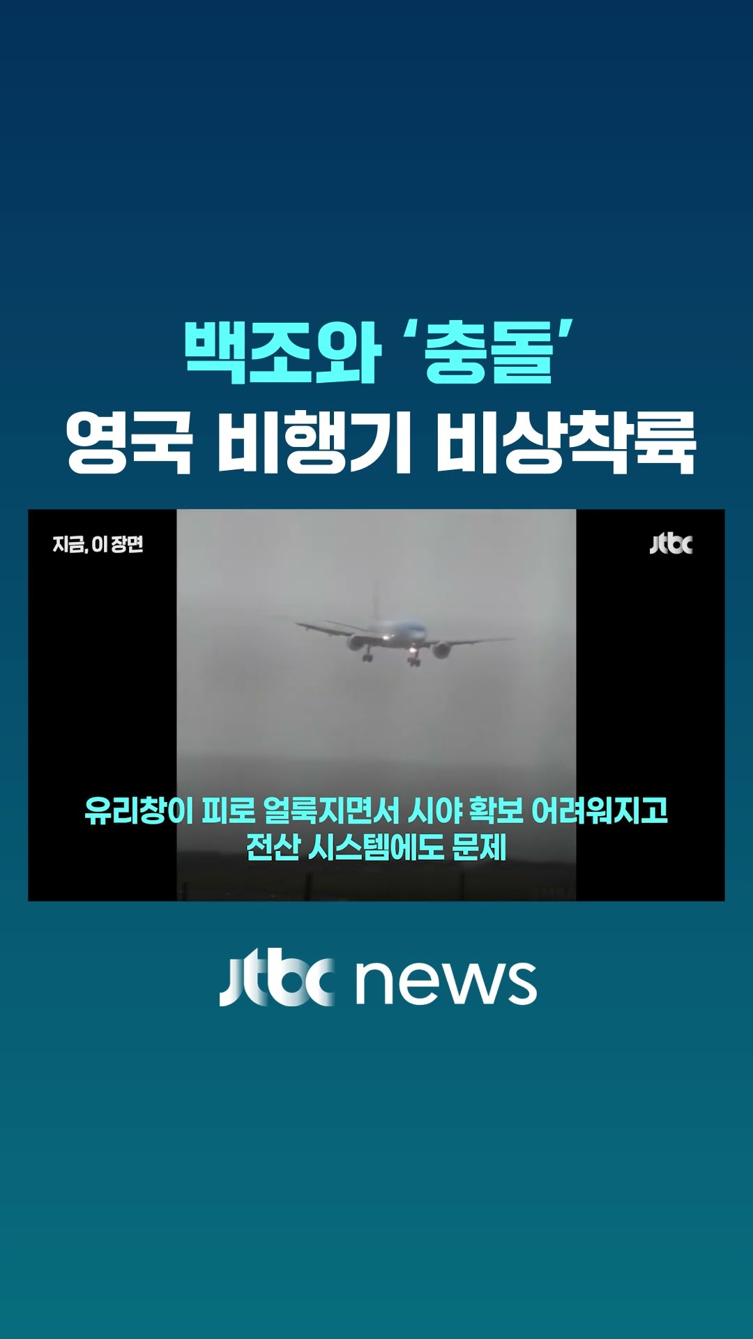 백조 두 마리 때문에…영국 비행기 비상착륙 #JTBC #Shorts