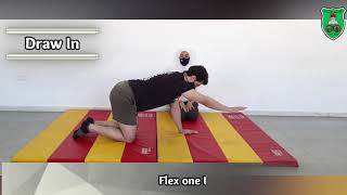Basic Lumber stabilization with Progressive limb loading- Emphasis on Trunk Extensors