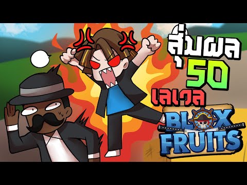 Blox Fruits บักนูปสุ่มผลปีศาจฟาร์มทุก50เวล (แจกรหัสนี้) EP.6