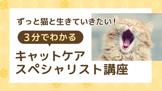 キャットケアスペシャリスト 看護・介護士プラス講座 教材セット一式 キャットケアスペシャリスト 看護・介護士プラス講座 教材セット一式