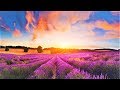 GOOD MORNING MUSIC ➤ 528Hz New Positive Healing Music - Clear All Negative Energy - Positive Vibe