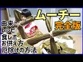 【2022年完全版】沖縄のムーチーのすべてが分かる（作り方・由来・味・お供え）
