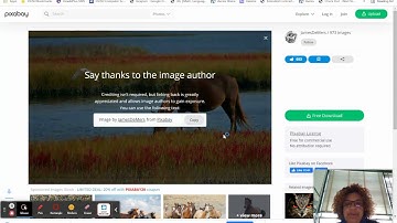 Adding Images to code org