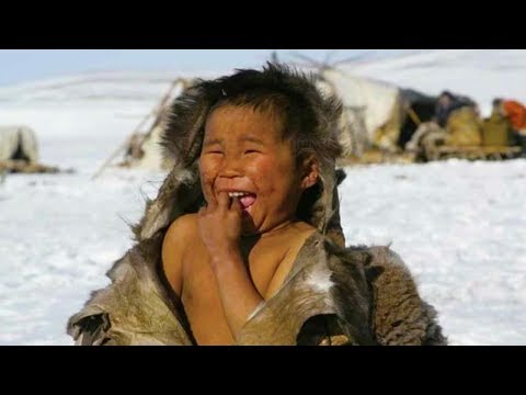 كيف يعيش سكان القطب الشمالي حقائق لن تصدقها 