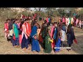 adivasi supar timli Dance video 2022 // Ld dodwa timli 2022 // marriage video Mp3 Song