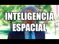 INTELIGENCIA ESPACIAL